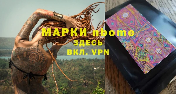 крисы Куйбышев