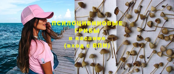 мяу мяу мука Лабытнанги
