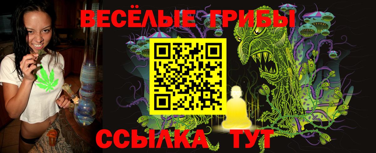 Павловский Посад  Псилоцибиновые грибы прущие грибы  Вход с VPN 