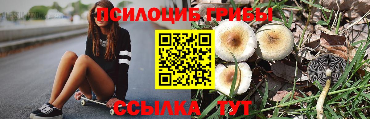 Псилоцибиновые грибы мицелий Павловский Посад